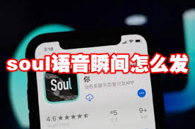 soul怎么发布语音瞬间