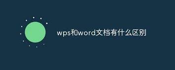 wps和word文档的区别是什么