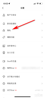 soul如何设置隐身在线状态