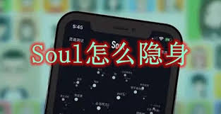 soul如何设置隐身在线状态