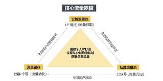 视频号如何增加流量