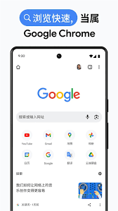 谷歌（海外版）浏览器官网入口在哪里