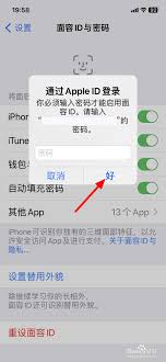 苹果商店怎么人脸识别登录