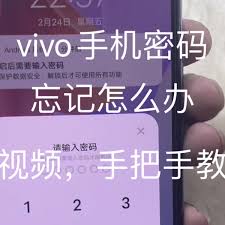 vivo手机密码忘记了怎么找回