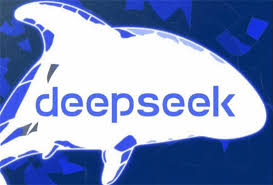 deepseek网页版与本地部署有何区别