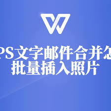 wps邮件合并批量导入图片