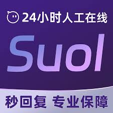 soul虚拟伴侣被说成真人是真的吗