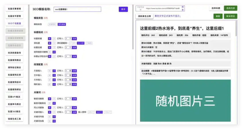 ZYCH站群文章更新器