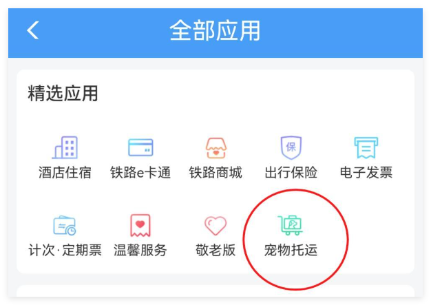 宠物猫狗怎么坐高铁