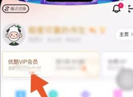 怎样取消优酷自动续费功能