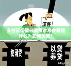 支付宝亲情卡消费详情对方能看到吗