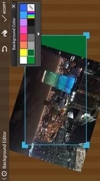 动画本最新0