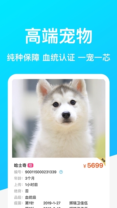 Dog Breeds狗品种1