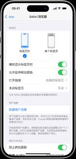 Safari阅读器视图如何自定义