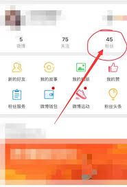 微博轻享版如何删除粉丝