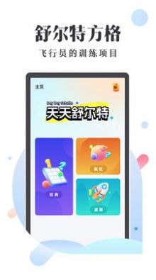 天天舒尔特0