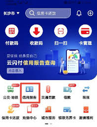 手机上如何查个人征信中心官网