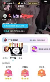 如何提升tt语音挚友值