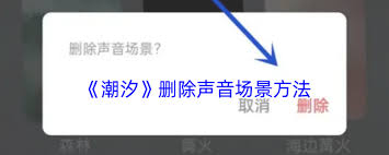 潮汐如何删除声音场景