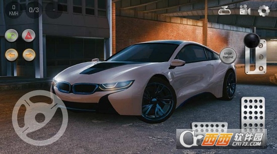 Real Car Parking 24