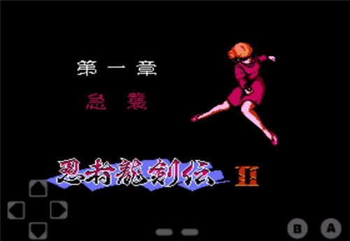 忍者龙剑传21
