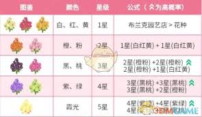 心动小镇春野令霞光迎春花如何种植