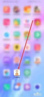 不背单词怎么自定义发音类型