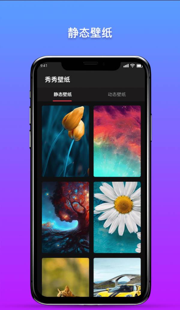 秀秀壁纸0