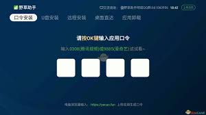 野草助手2月12日最新口令码是什么
