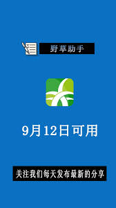 野草助手2月12日最新口令码是什么