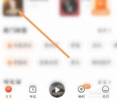 番茄畅听怎么开启跳过片头片尾