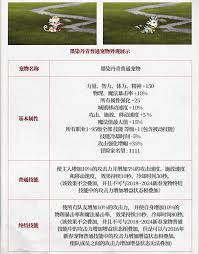 DNF2025五一套宠物属性是什么