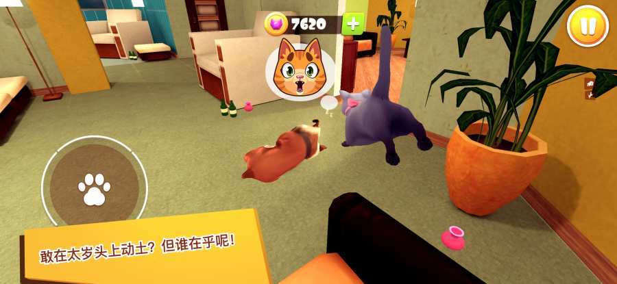 猫咪模拟器3D1
