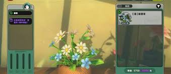 绝区零简的花艺委托怎么玩