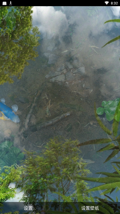 锦鲤鱼池3D动态壁纸3