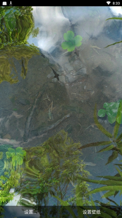 锦鲤鱼池3D动态壁纸