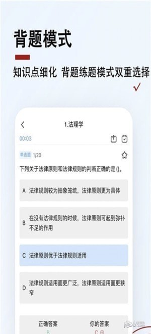 书记员题小宝2