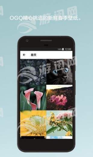 OGQ壁纸1