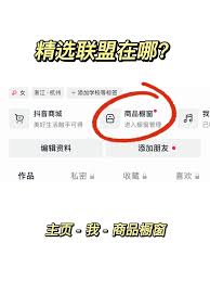 抖音精选联盟申请进度怎么查看