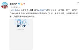 哔哩哔哩服务器为何会崩