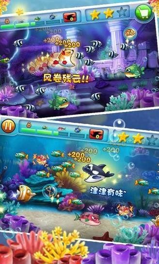 大鱼吃小鱼双人版1