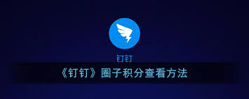 如何查看钉钉积分