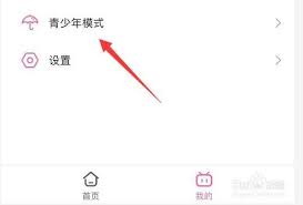 哔哩哔哩青少年模式怎么解除