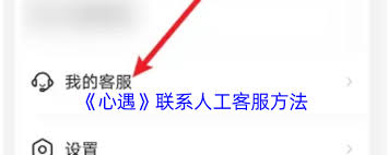 心遇如何联系人工客服