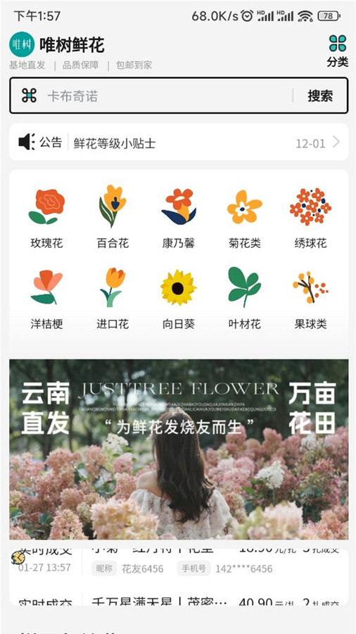 唯树鲜花1