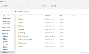 win11如何查看隐藏文件