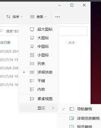 win11如何查看隐藏文件