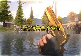 暗区突围无限黄金沙鹰为何加急停这么爽