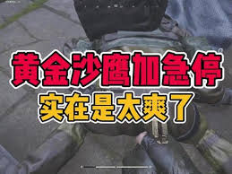 暗区突围无限黄金沙鹰为何加急停这么爽