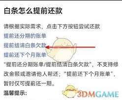京东白条如何在2025年提前全部还清